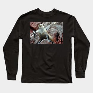 Pérou - Paracas - Les îles Ballestas Long Sleeve T-Shirt